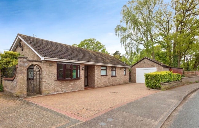 Large double room for rent Main Photo