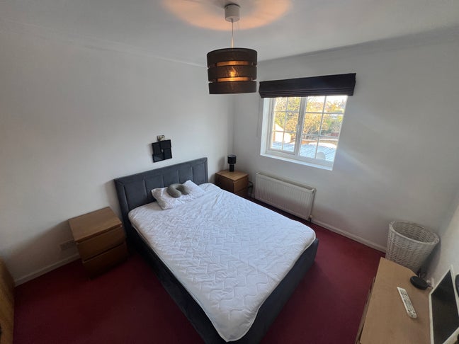 Single room to let Sutton  Main Photo