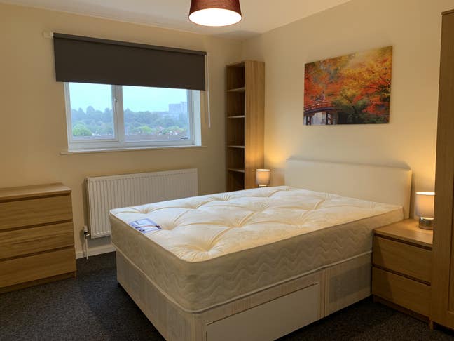 Bright and spacious double room to let. Main Photo