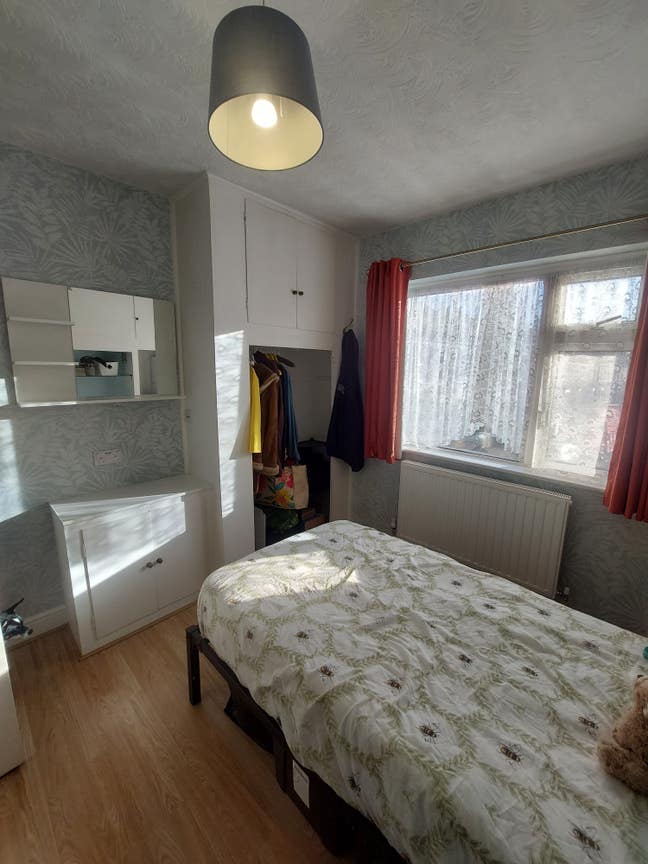 Single Room in Home with Older Dog Main Photo