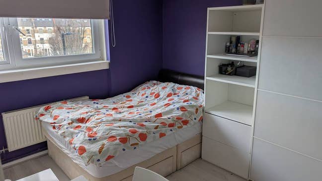 Nice Double Room in Friendly Flat in North London Main Photo