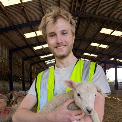 Looking for a chill, 2-4 person house share Main Photo