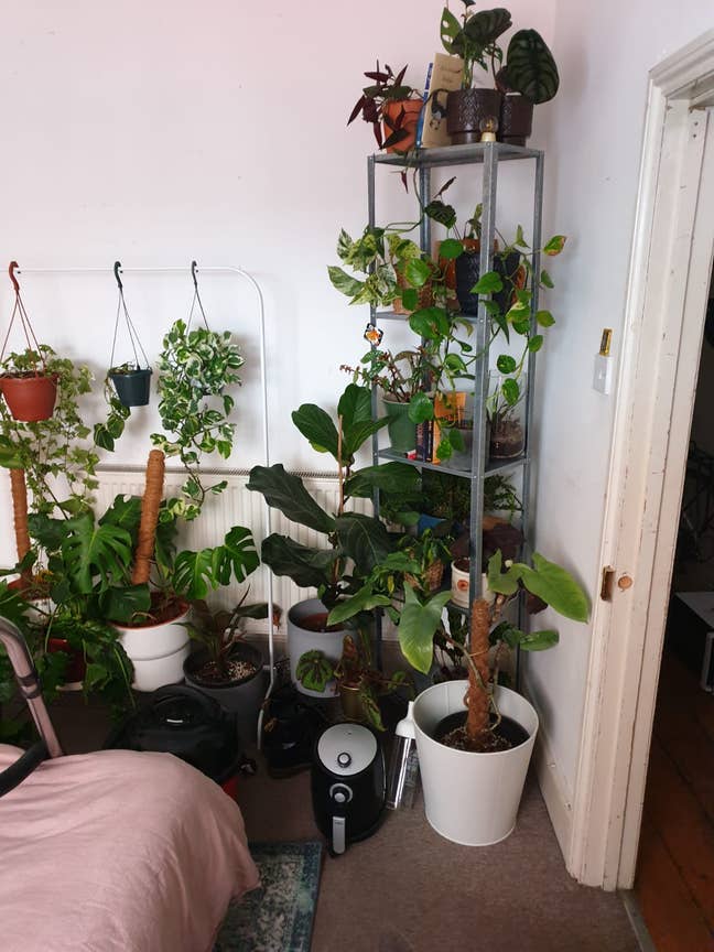 Room avaliable in Montpelier  Main Photo