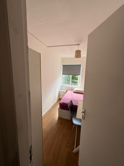 Single room  Main Photo