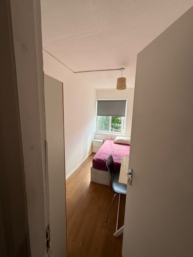 Single room  Main Photo