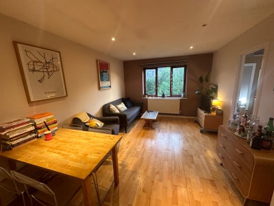 Cosy room in Hoxton  Main Photo