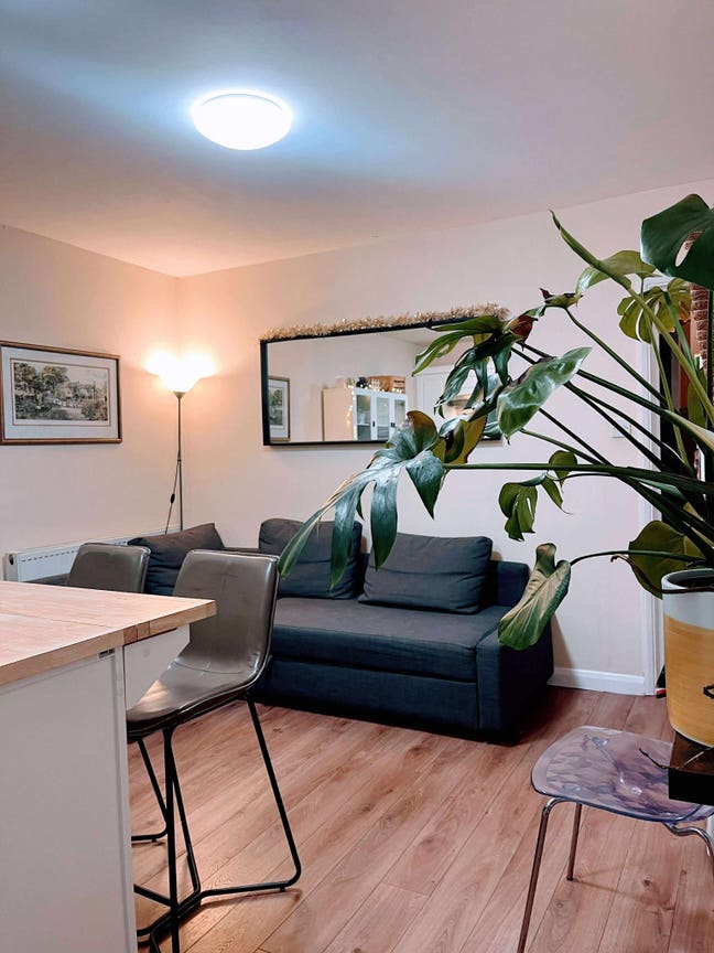 Spacious 2 bed duplex flat close to the river Main Photo