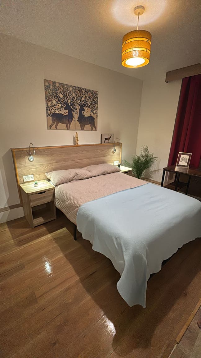 Bright Garden House Main Photo