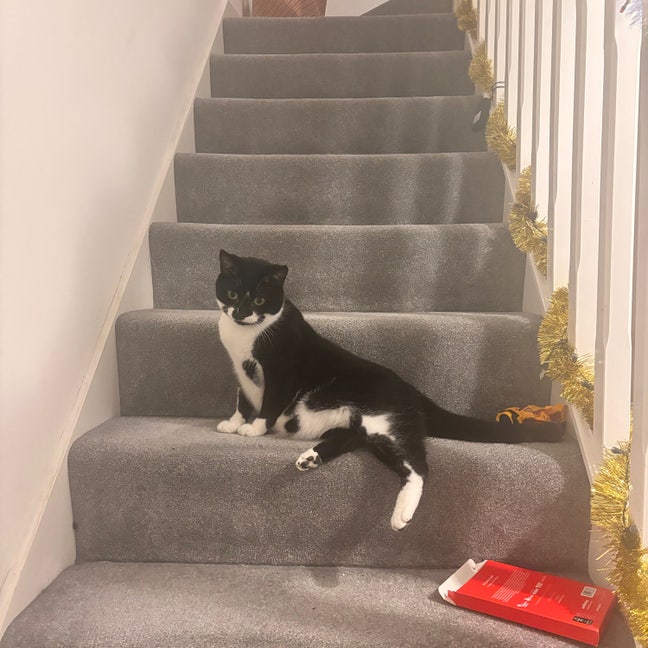 Looking to rent starting in September  Main Photo