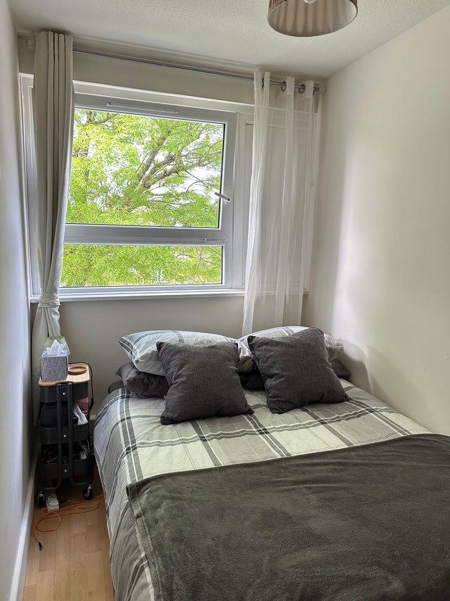Double Room in Balham Flat - Available 25 Jan Main Photo