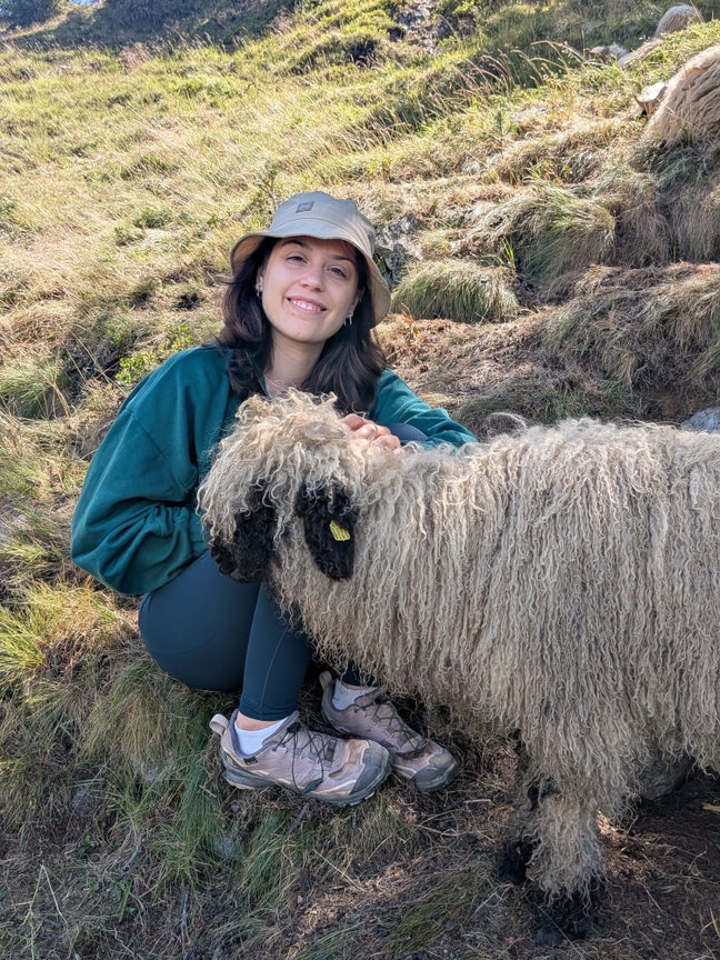 Seeking a room in a friendly flatshare (Mar-Aug) Main Photo