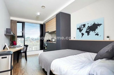 Vita Student Studio Main Photo