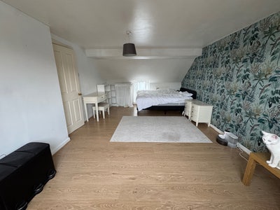 For cat lover - Whole floor Loft ensuite bedroom  Main Photo