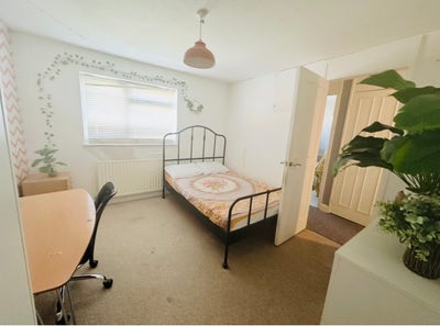 Double bedroom 10-12 minutes walk to UWE Main Photo