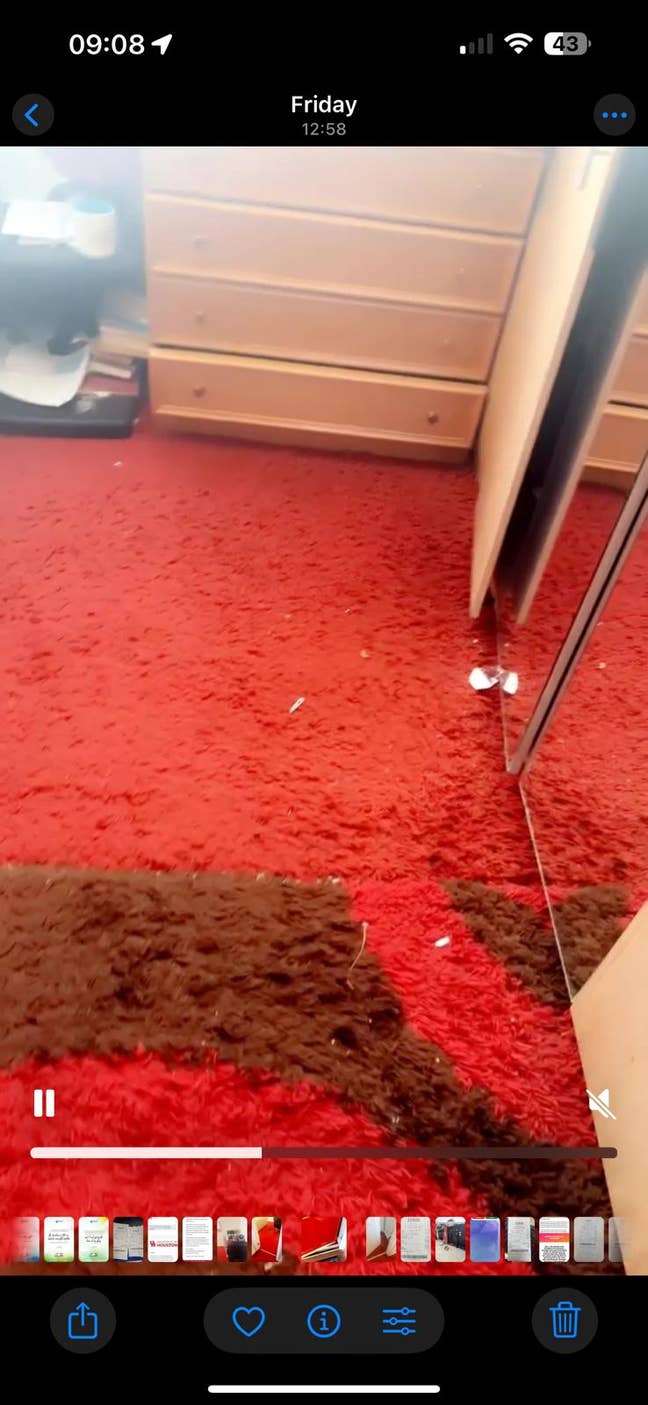 Mr Frank  Main Photo