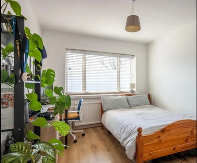 Spacious Room to Let – West Hampstead  Main Photo
