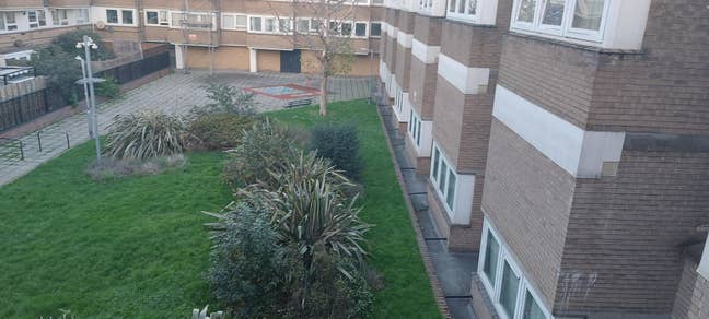 Available  January 2026 Main Photo