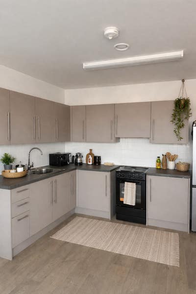 Brand-new one bedroom spacious apartment Main Photo