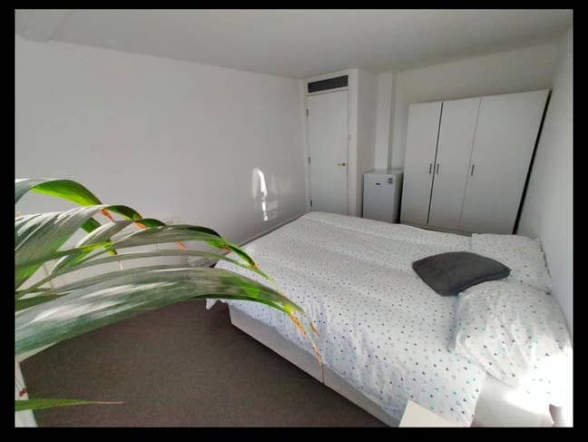 Lovely, large double bed room in Islington Main Photo