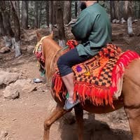 Quiet clean professional looking for a room Main Photo