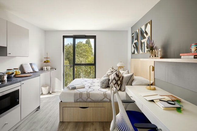 LUXURY Studio Accomodation in Nice Area (Ladywell) Main Photo