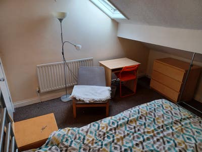 1 room free NOW Main Photo