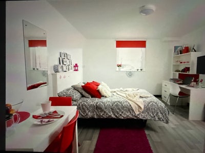 Studio room Main Photo