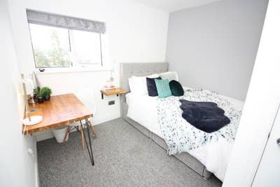 🌟 Beautiful Rooms to Live In 🌟 Main Photo