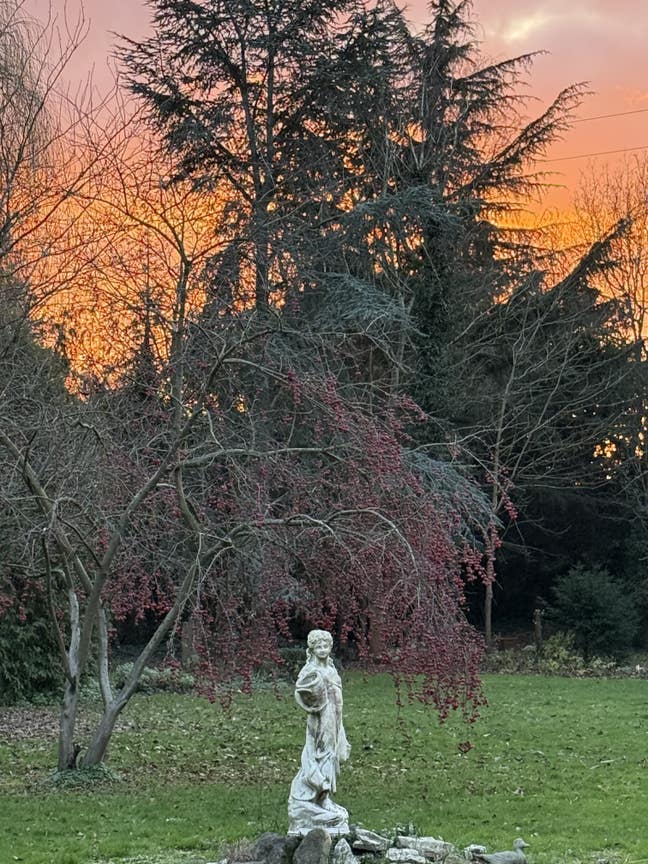 One large single room  Main Photo