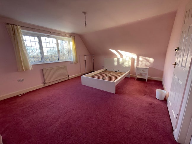 Very large double en-suite room - all bills inc  Main Photo