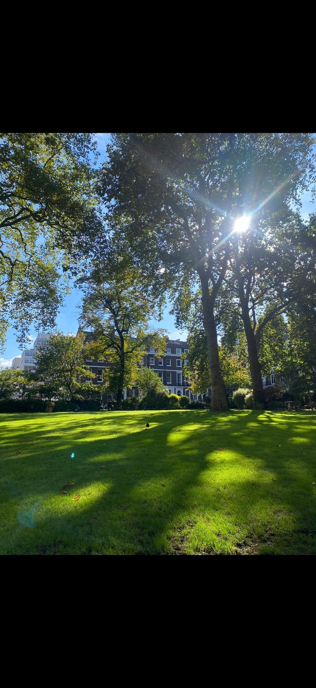 1 Bed in Marylebone  Main Photo