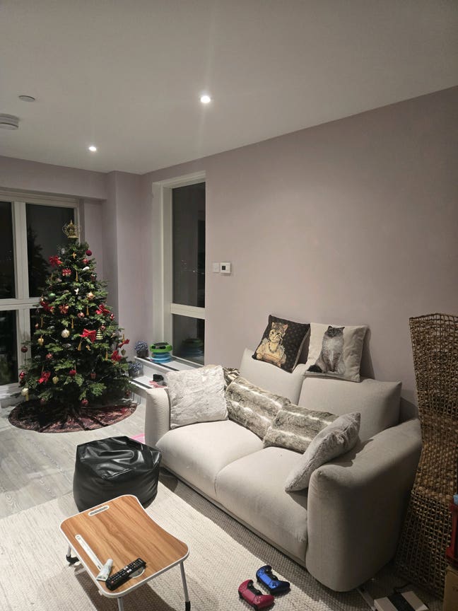 Roommate for new flat  Main Photo