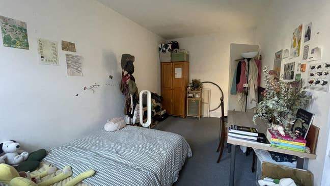 Large Double room available in friendly cosy flat  Main Photo