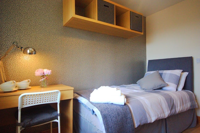 Single Room to Rent Main Photo