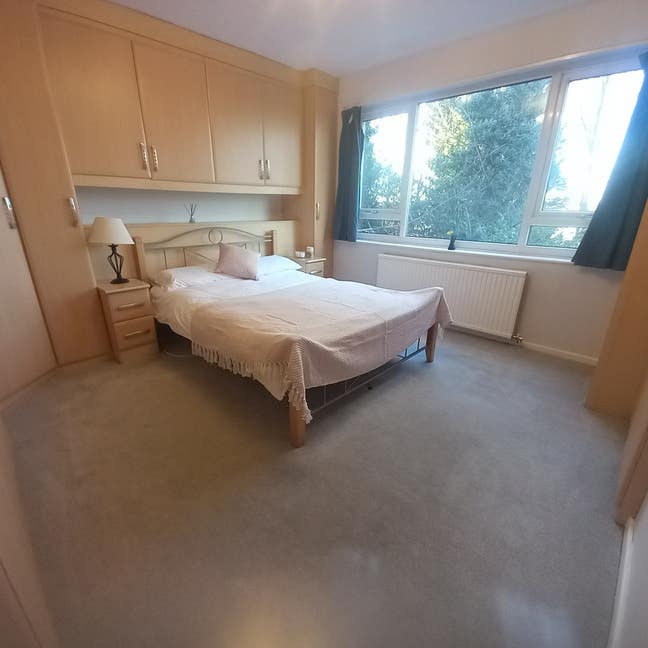 Large Double Ensuite Room in Spacious Apartment  Main Photo