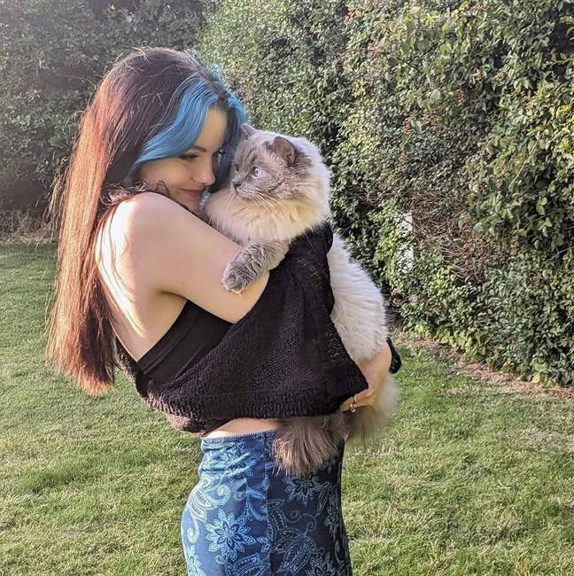 Looking for cat loving flatmates! Main Photo