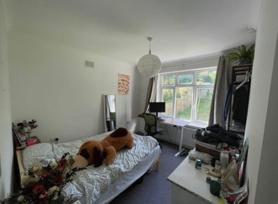 Double Room available in amazing location  Main Photo