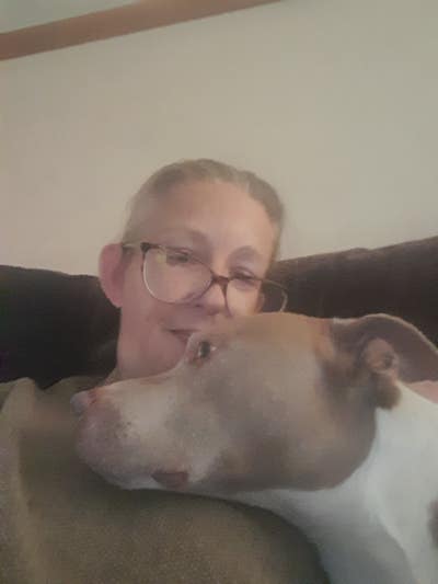 Room wanted Main Photo