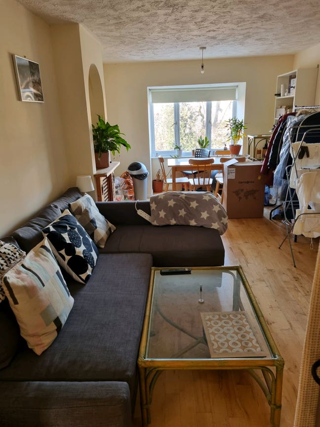 Small room, big vibes – flatmate wanted 🏡✨ Main Photo