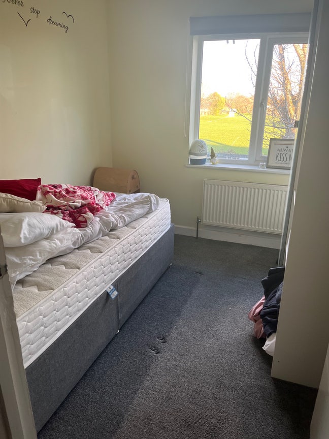 Large Single Room  Main Photo