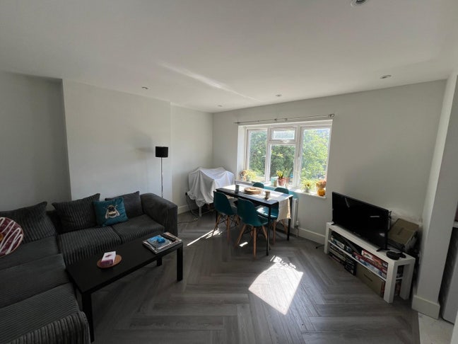 Cute single room available  Main Photo