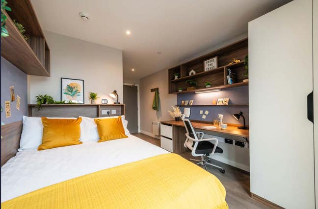 Room available at Student accommodation Main Photo