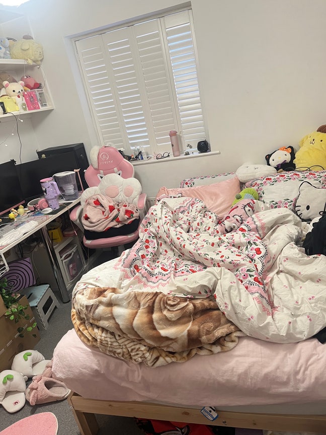 Looking for a friendly housemate to replace me! Main Photo