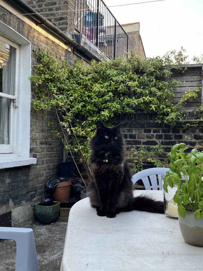 1 Ground Floor Bedroom w. Bathroom - Kensal Green Main Photo