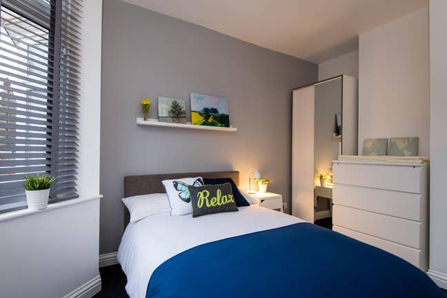 Friendly Housemates wanted to join Pro House! 🏡  Main Photo