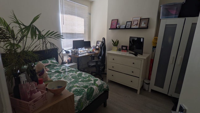 Looking for a friendly housemate in North London Main Photo