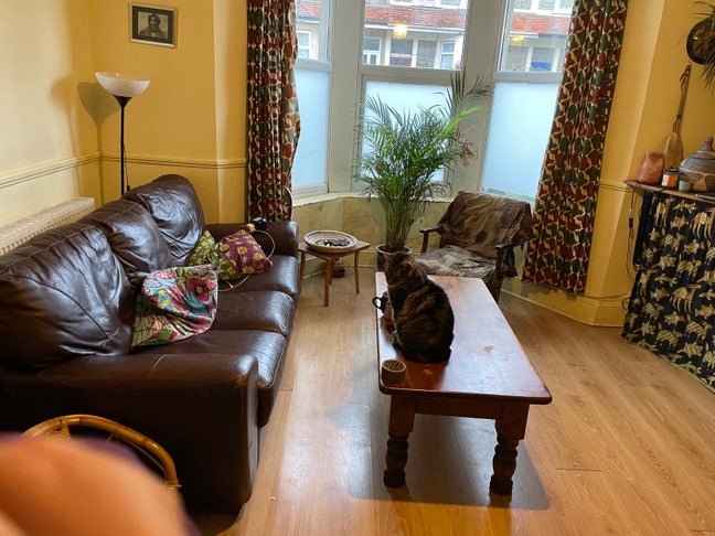 Light spacious room in family home  Main Photo