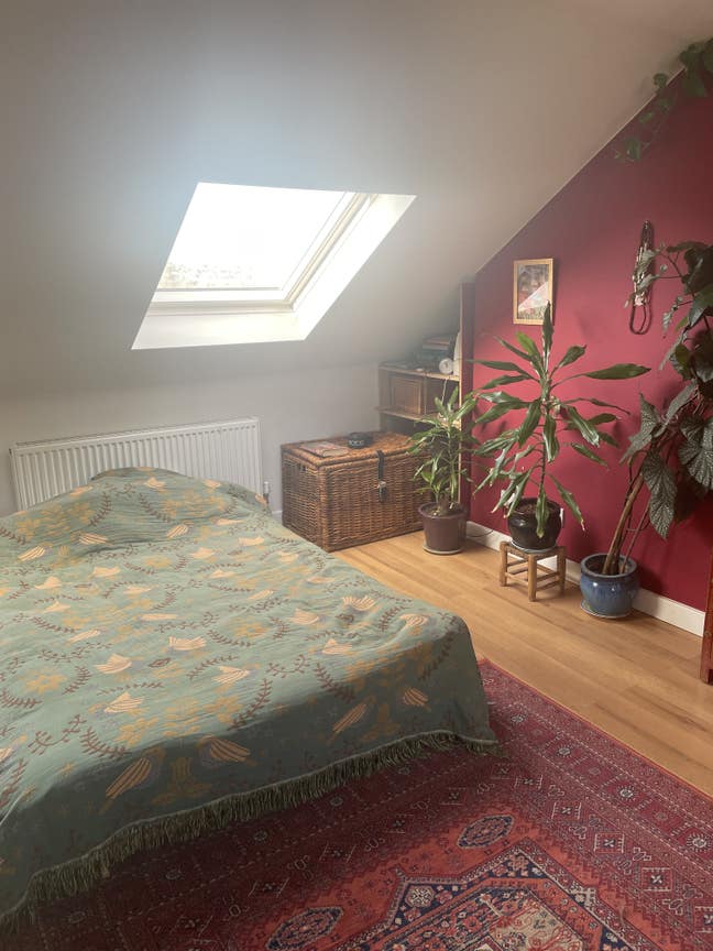 Light and airy attic space  Main Photo