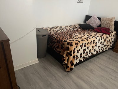 Double room  Main Photo