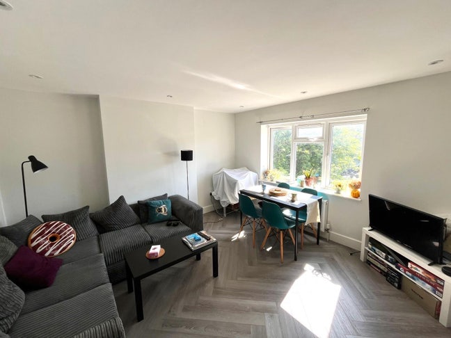 Cute single room available!  Main Photo